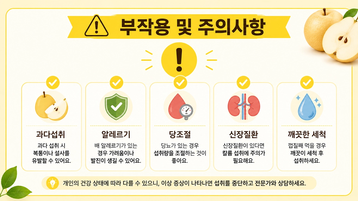 배 효능과 부작용 및 섭취 시 주의사항