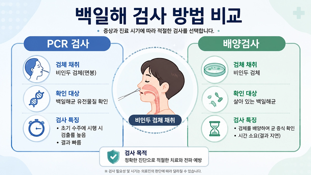 백일해 증상 확인에 사용하는 PCR 검사와 배양검사의 차이를 비교한 인포그래픽