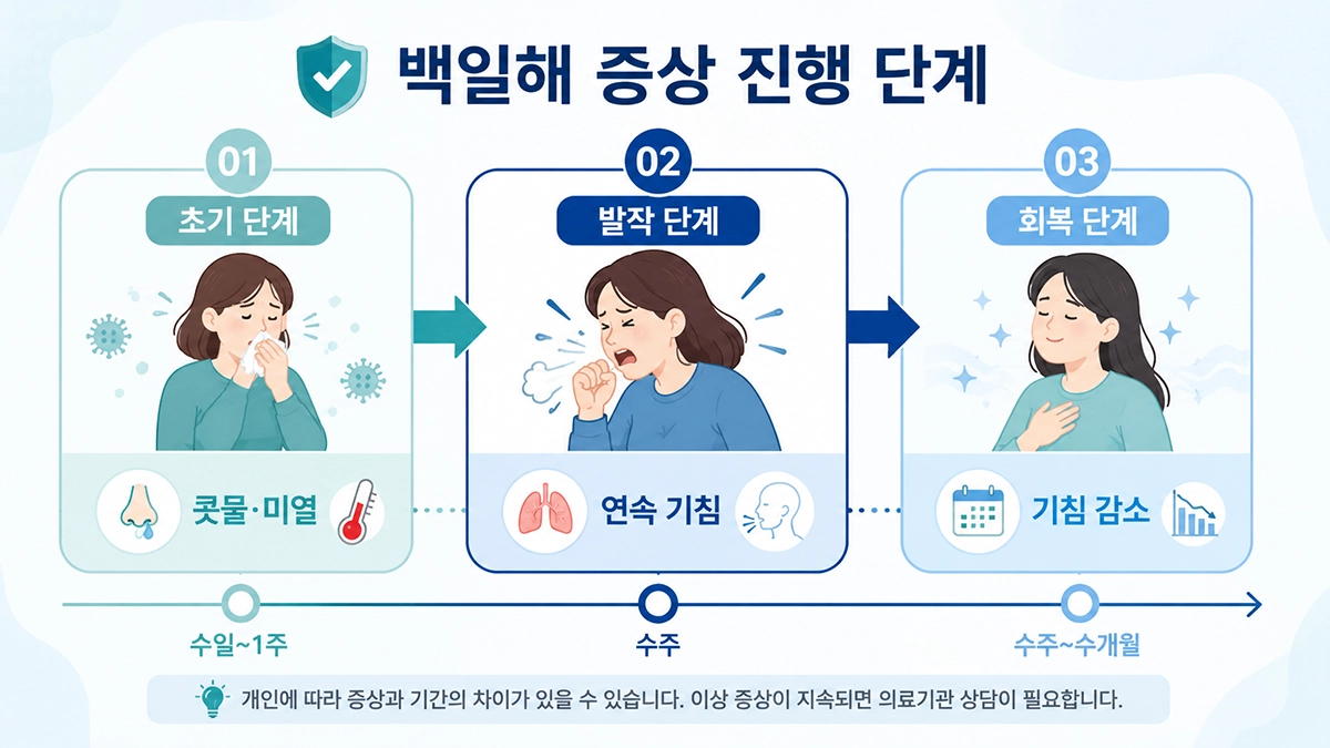 백일해 증상이 초기 감기 증상에서 발작성 기침과 회복기로 진행되는 과정을 설명한 단계형 이미지