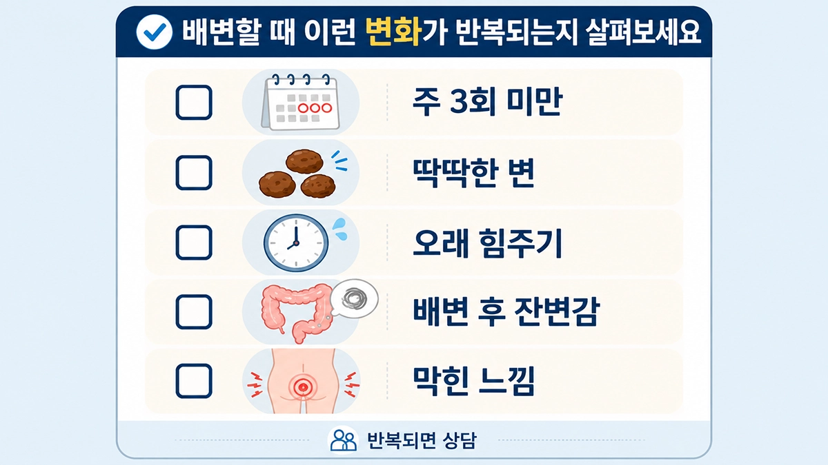 변비 증상과 원인을 살펴볼 때 확인하는 배변 횟수·딱딱한 변·잔변감 항목