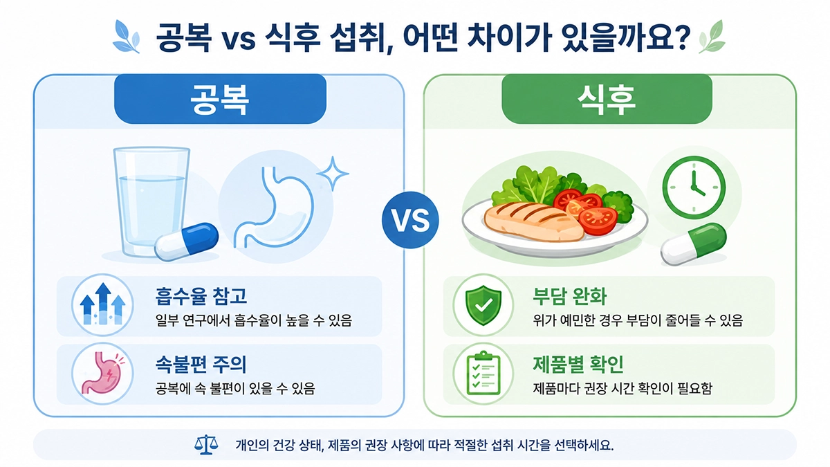 알파리포산 공복 섭취와 식후 섭취 기준을 비교한 인포그래픽