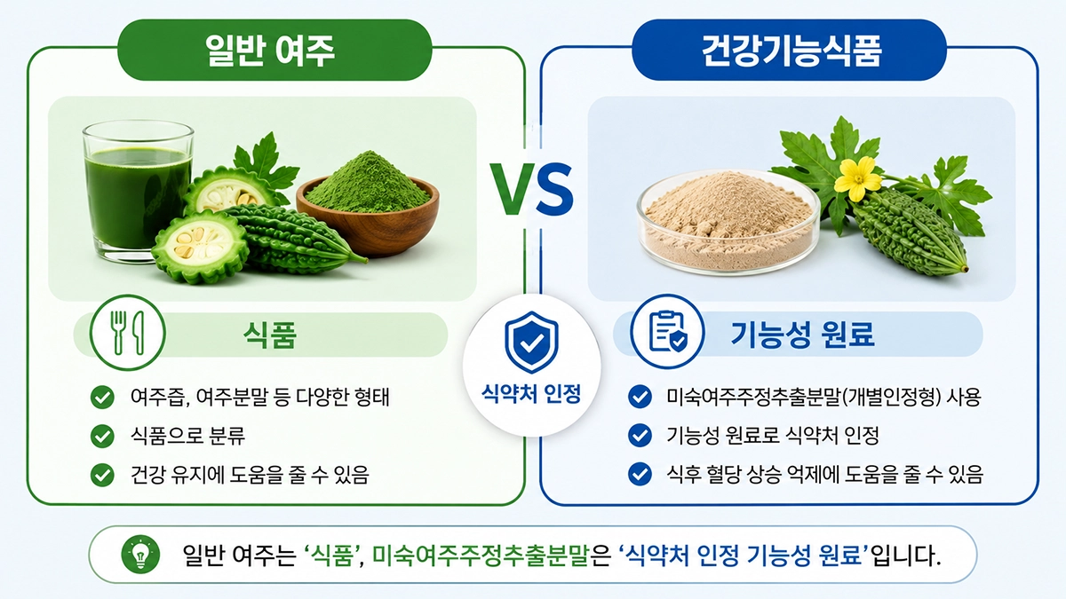 여주 추출물과 일반 여주즙 및 여주분말의 차이를 비교한 인포그래픽