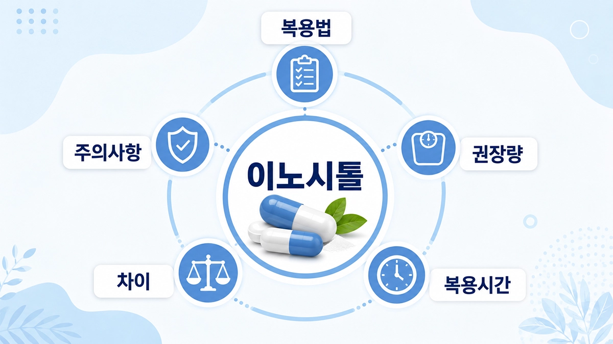 이노시톨 복용법과 권장량, 복용시간, 마이오이노시톨 차이를 요약한 인포그래픽