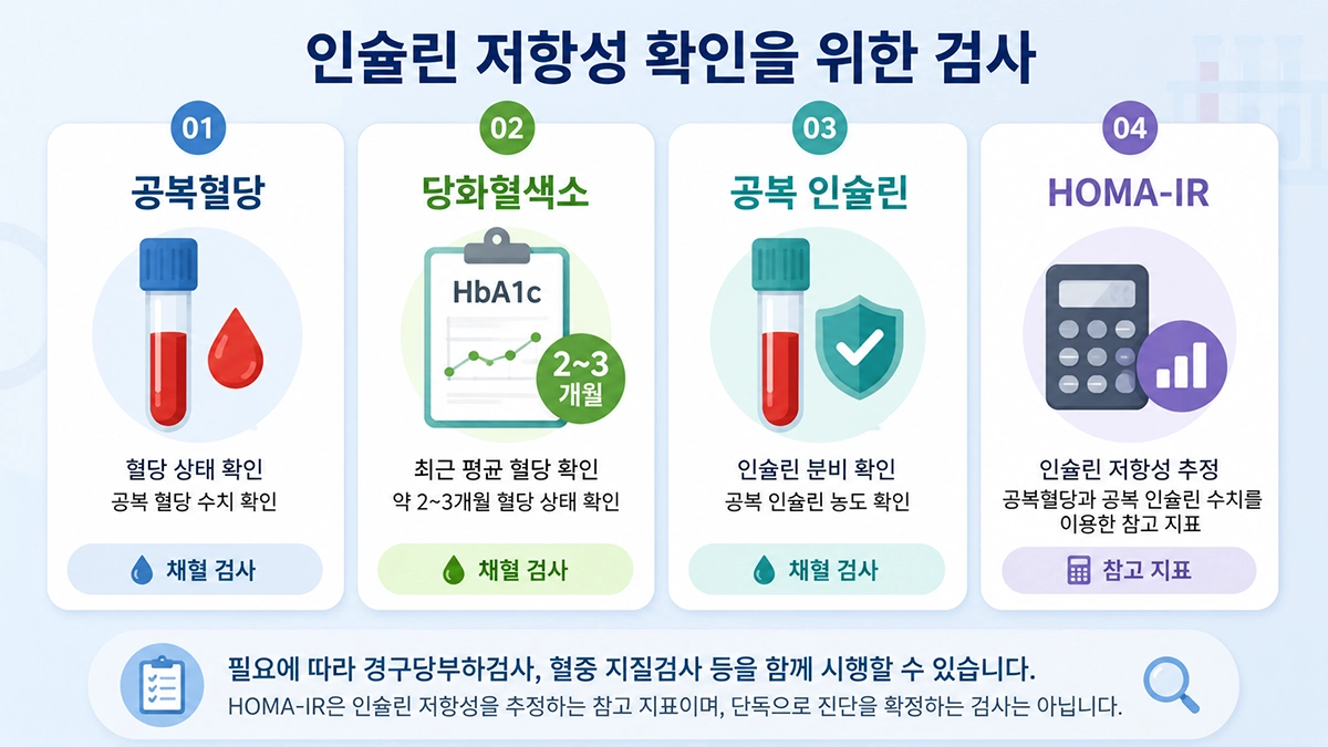 인슐린 저항성 증상 확인 시 병원에서 참고하는 혈액검사 항목