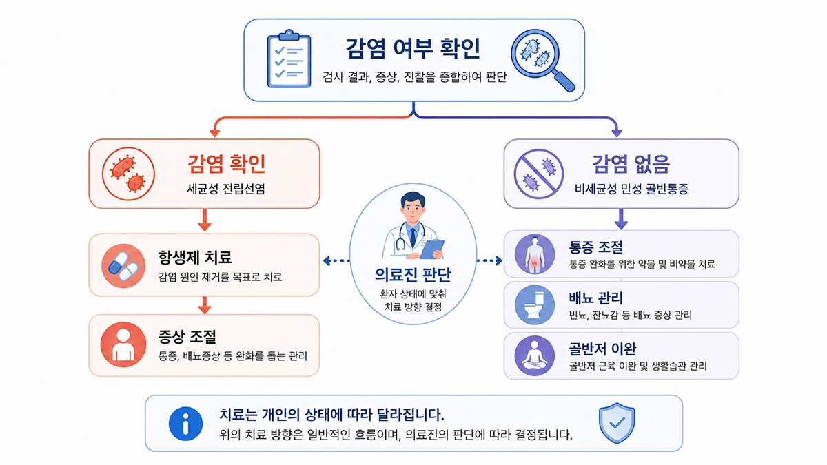 전립선염 증상과 감염 여부에 따라 달라지는 항생제와 골반저 치료 방향