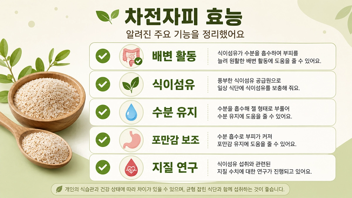 차전자피 효능으로 알려진 배변 활동과 식이섬유 역할 정리