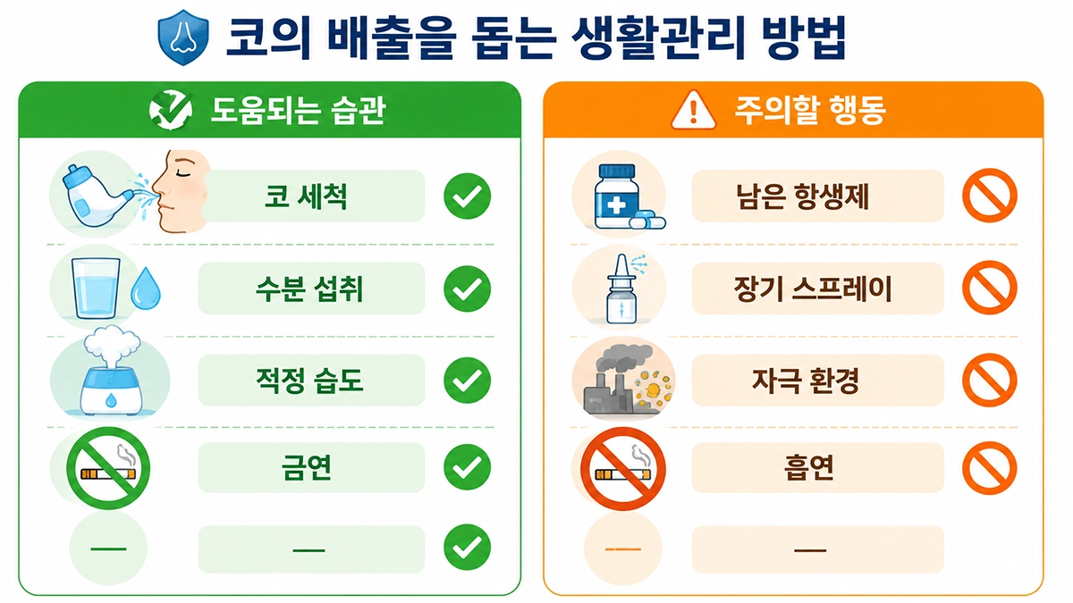 축농증 증상 완화를 위한 생활관리와 주의사항 비교 인포그래픽