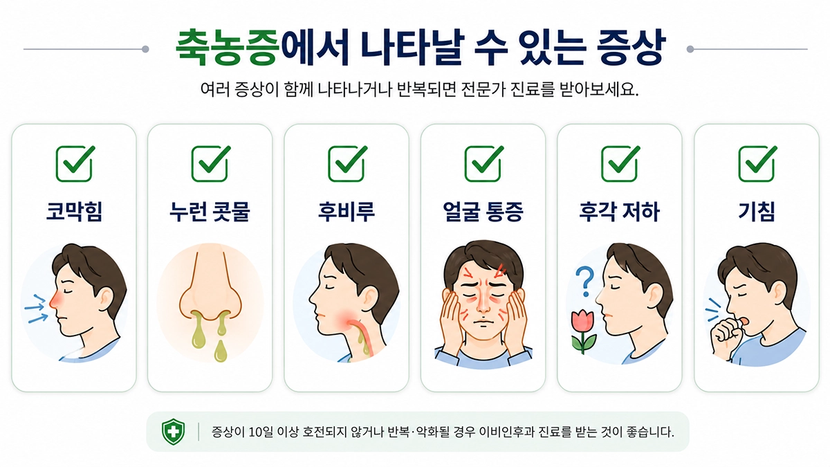 축농증 증상의 대표적인 증상을 정리한 체크리스트 인포그래픽