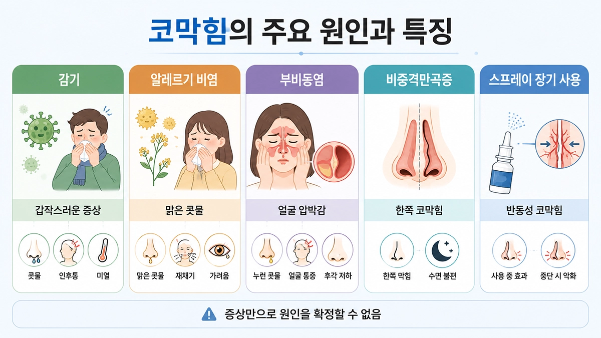 코막힘 원인인 감기와 알레르기 비염, 부비동염, 비중격만곡증의 특징을 비교한 인포그래픽