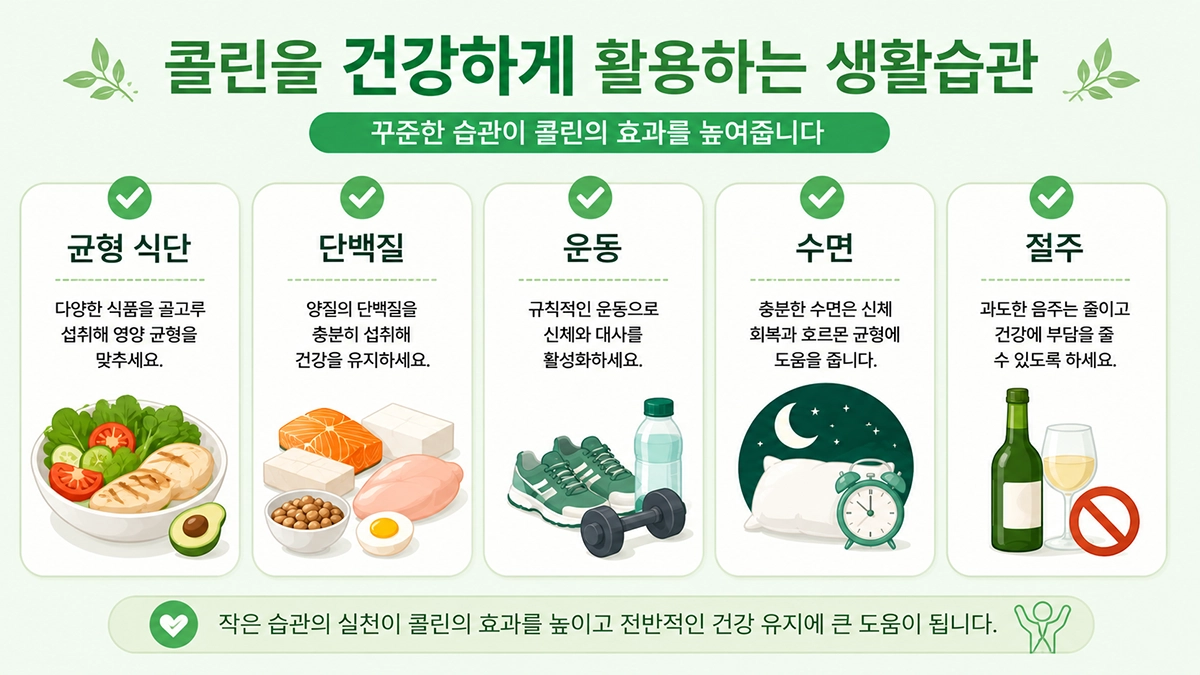 콜린 권장량과 함께 실천하는 건강한 생활습관