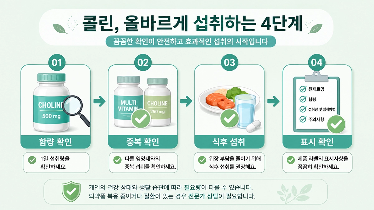 콜린 권장량을 고려한 영양제 선택과 복용 방법