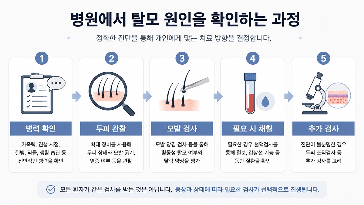 탈모 진료에서 병력 확인과 두피 관찰부터 필요한 추가 검사까지의 과정을 보여주는 인포그래픽