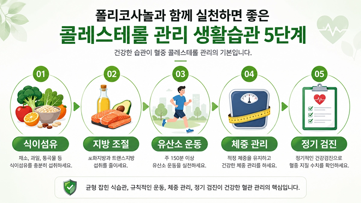 폴리코사놀 권장량과 함께 참고할 콜레스테롤 생활관리 방법 인포그래픽