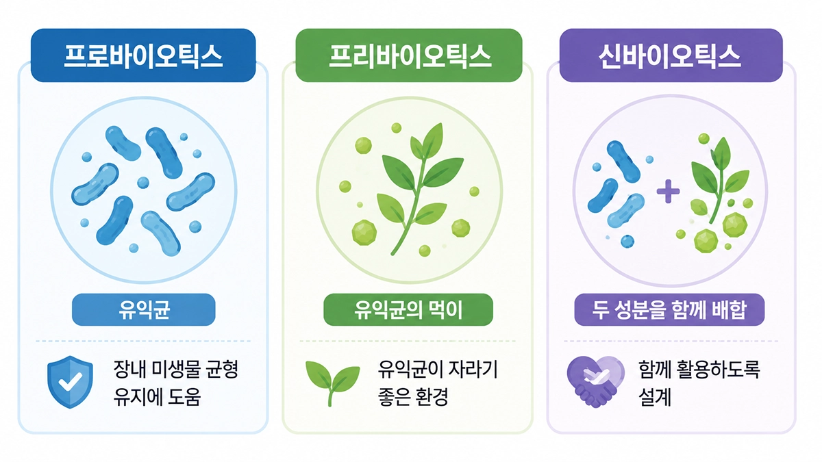 프로바이오틱스와 프리바이오틱스, 신바이오틱스의 차이를 비교한 인포그래픽
