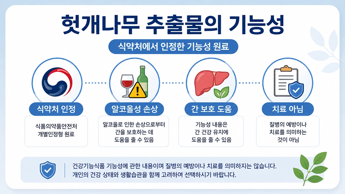 헛개나무 추출물 효능과 식약처 인정 기능성 범위를 설명하는 인포그래픽
