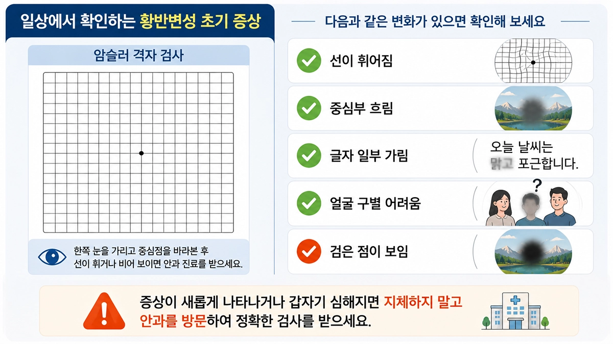 황반변성 초기 증상인 직선 왜곡과 중심부 흐림을 확인하는 체크리스트
