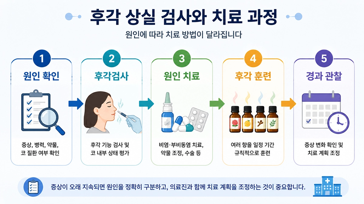 후각 상실의 검사와 원인별 치료 과정을 보여주는 단계형 인포그래픽