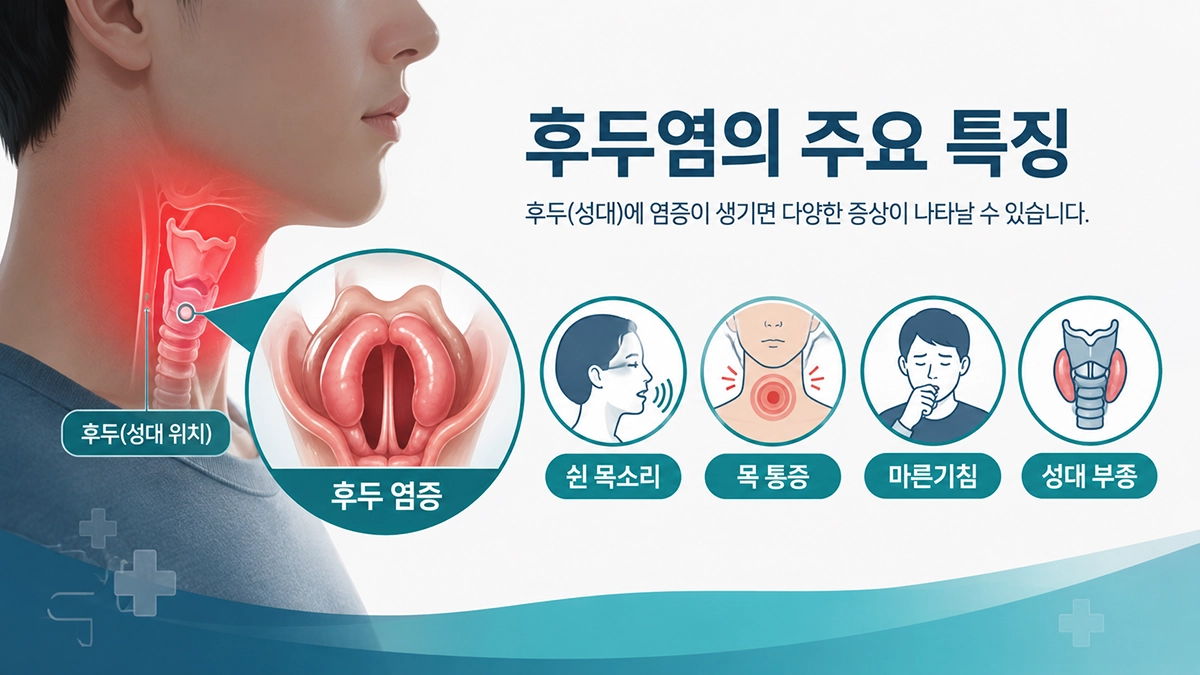 후두염으로 성대에 염증이 생겨 쉰 목소리와 목 통증이 나타나는 모습을 설명한 인포그래픽