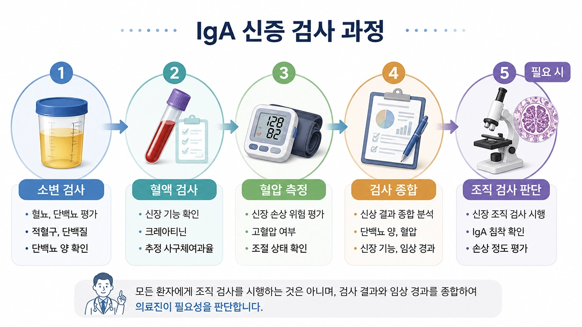 IgA 신증 진단을 위한 소변 검사와 혈액 검사, 혈압 측정, 신장 조직 검사 과정