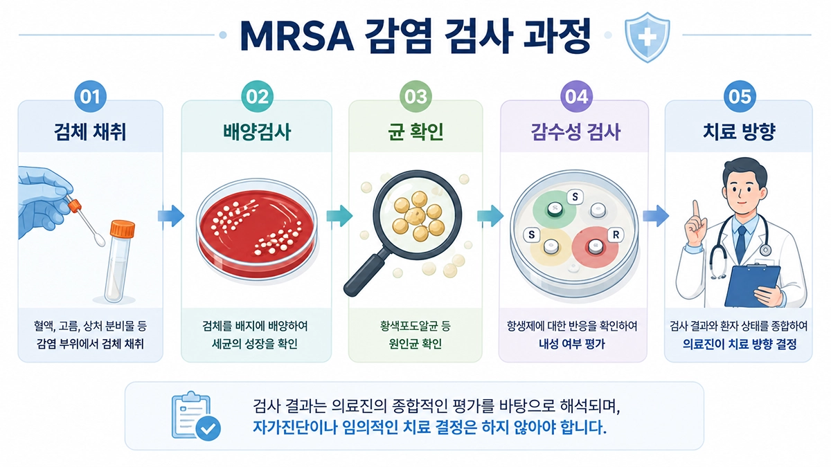 메티실린 내성 황색포도알균 감염의 검체 채취와 배양검사, 항생제 감수성 검사 과정을 설명한 이미지
