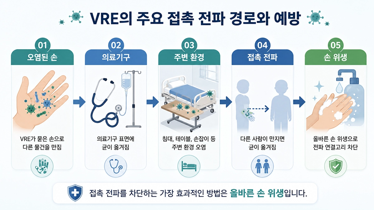 반코마이신 내성 장알균 감염의 VRE 접촉 전파 경로와 손 위생