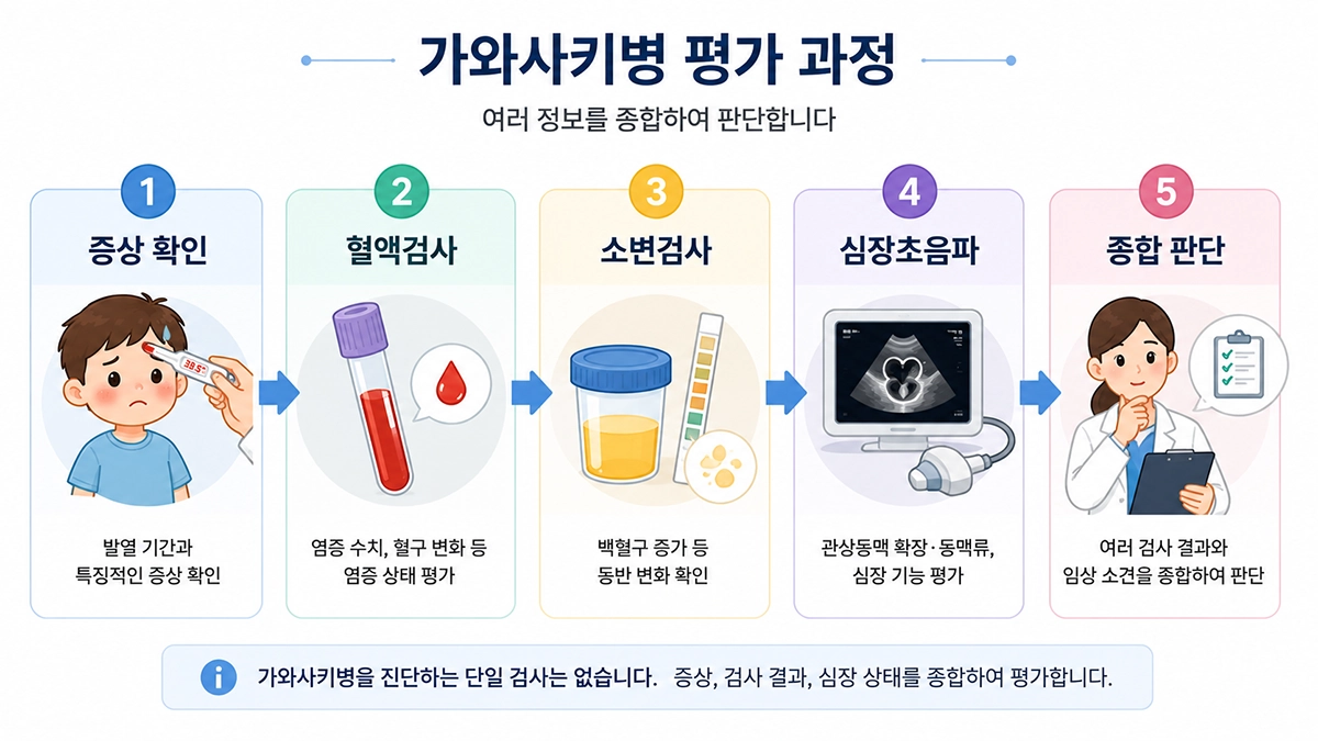 가와사키병 진단 과정에서 증상 확인과 혈액검사, 소변검사, 심장초음파를 종합하는 흐름
