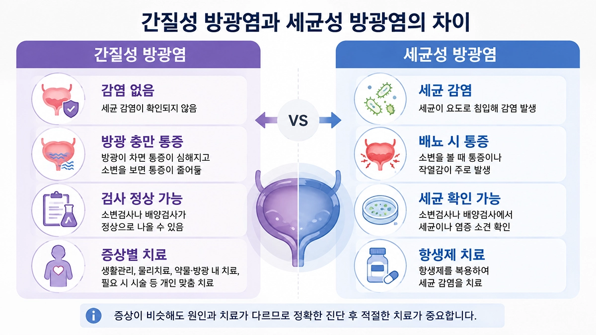 간질성 방광염과 세균성 방광염의 원인, 증상, 검사와 치료 차이 비교