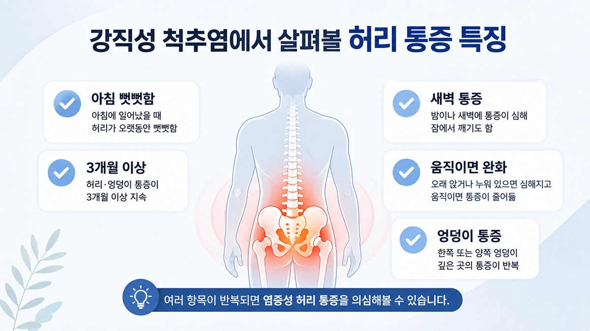 강직성 척추염에서 나타날 수 있는 아침 강직과 허리·엉덩이 통증 특징