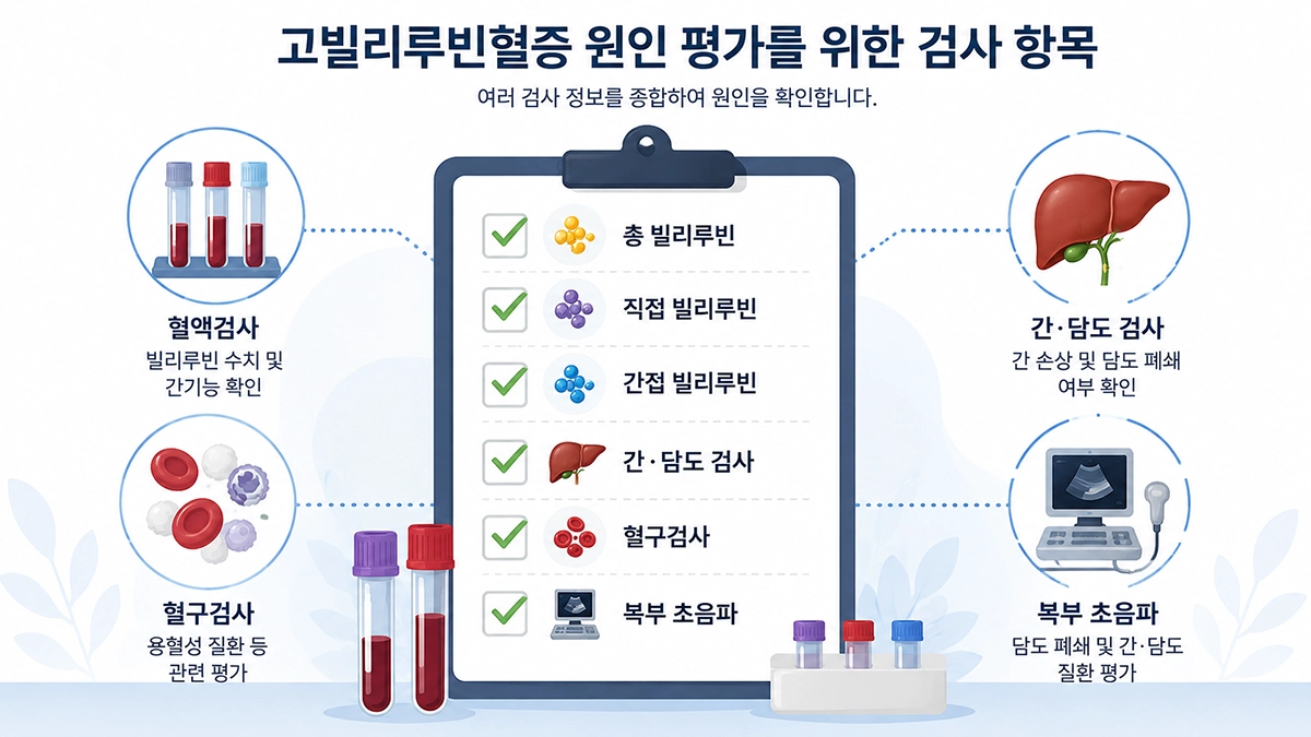 고빌리루빈혈증 원인을 확인할 때 시행할 수 있는 빌리루빈 혈액검사와 관련 검사 항목