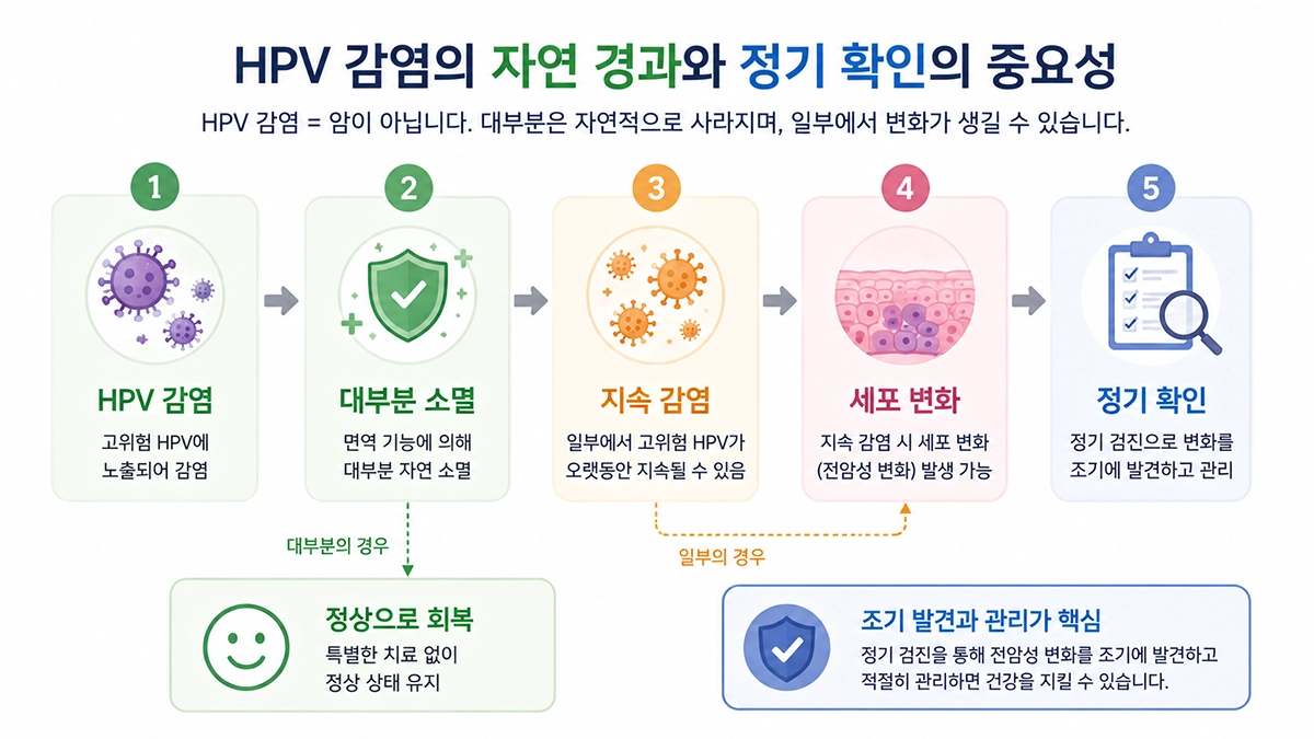 자궁경부암 초기증상과 관련된 고위험 HPV 지속 감염 및 세포 변화 과정