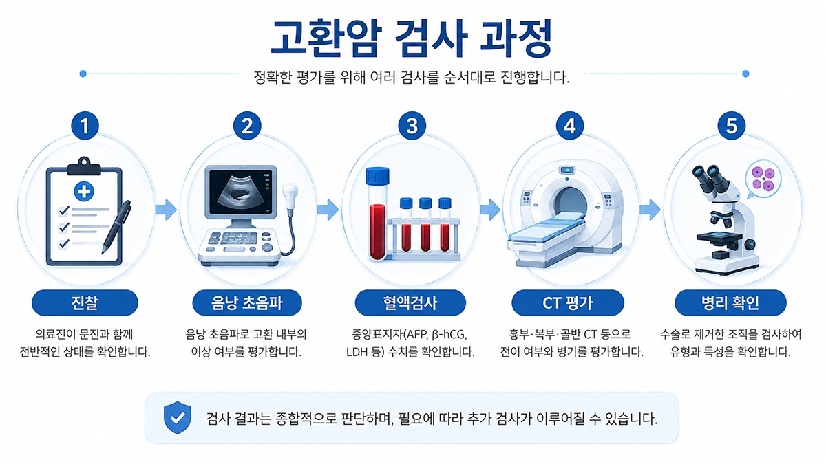 고환암 초기증상 이후 시행할 수 있는 진찰, 초음파, 혈액검사, CT 검사 흐름