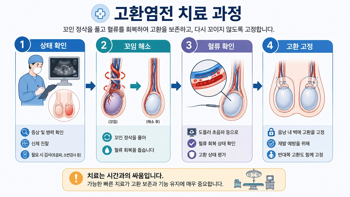 고환염전 증상 확인 후 정삭의 꼬임을 풀고 고환을 고정하는 수술 치료 과정