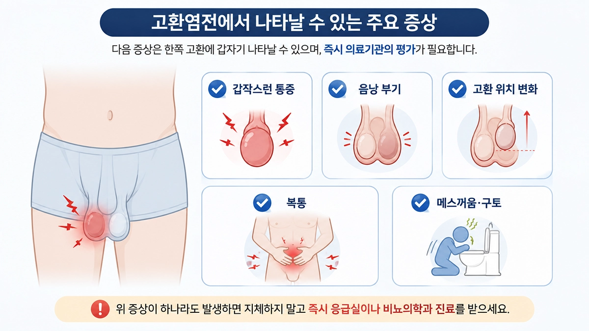 고환염전 증상인 갑작스러운 고환 통증과 음낭 부기, 복통, 구토를 정리한 체크리스트