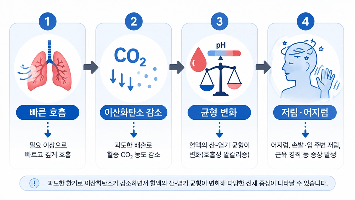 과호흡증후군에서 과도한 호흡으로 이산화탄소가 감소하고 저림과 어지럼이 나타나는 과정