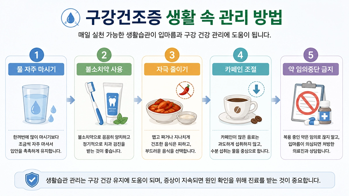 구강건조증 생활관리 방법으로 물 섭취와 구강 위생, 카페인 조절 등을 정리한 인포그래픽
