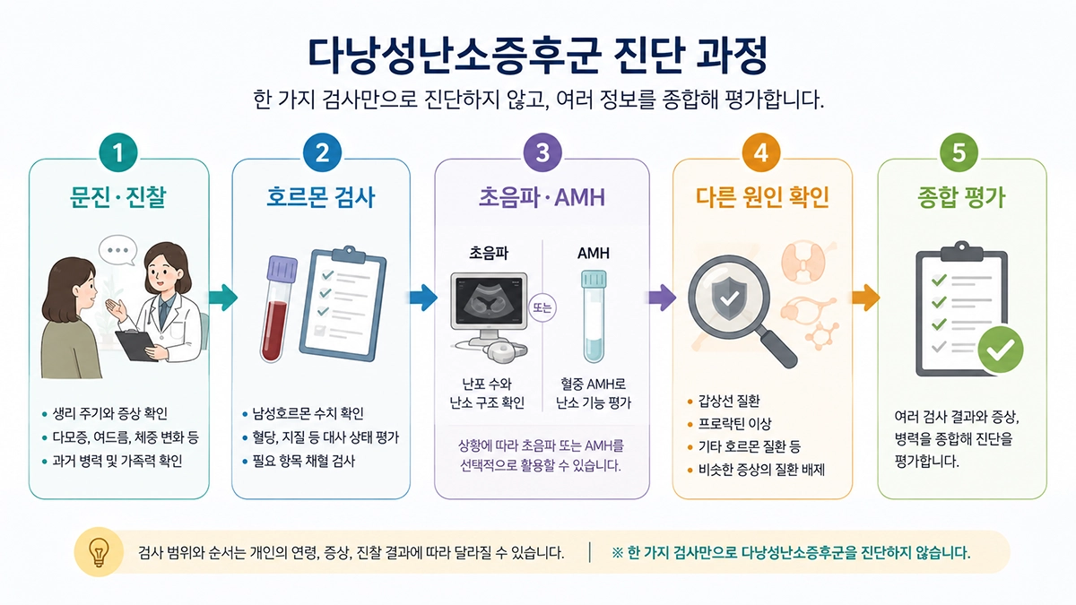 다낭성난소증후군 진단에서 문진, 혈액검사, 초음파와 AMH 평가 과정을 정리한 이미지
