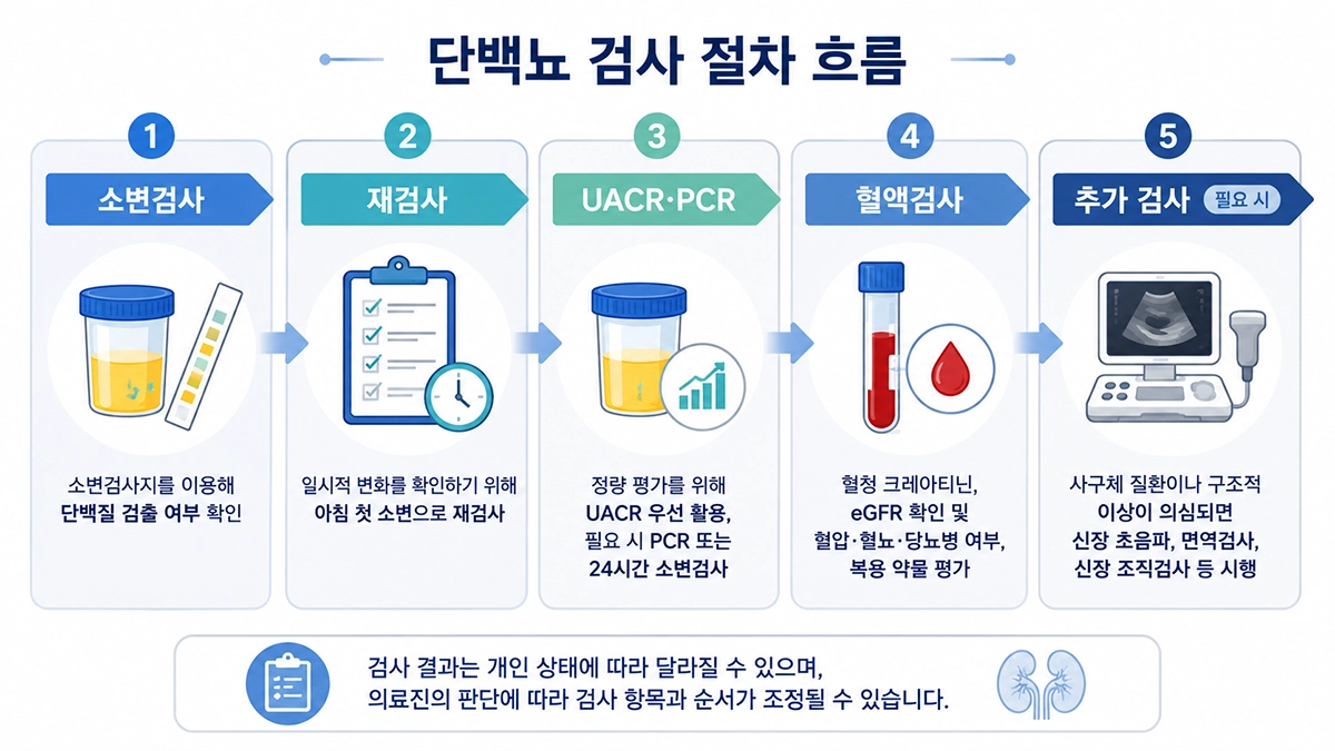 단백뇨 확인 후 소변검사와 혈액검사 진행 과정을 보여주는 인포그래픽