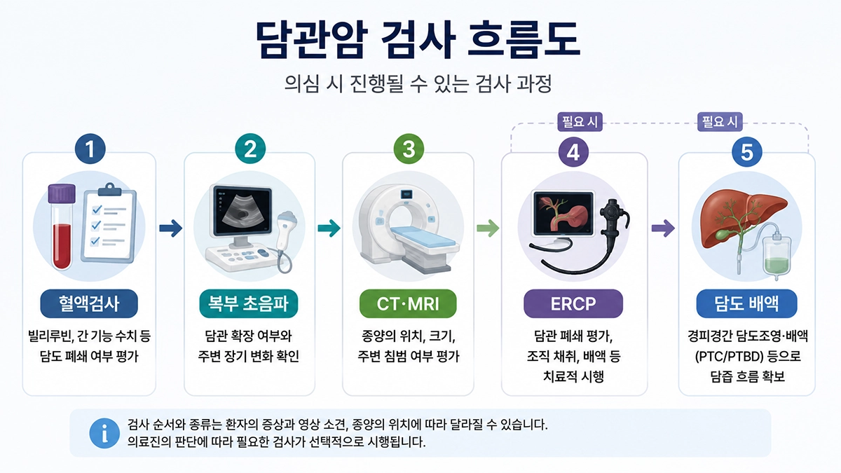 담관암 진단에 활용되는 혈액검사와 초음파, CT MRI, ERCP 검사 흐름