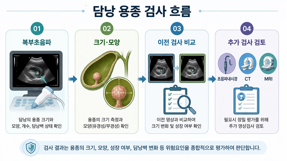 담낭 용종을 복부초음파로 확인하고 필요 시 추가 검사를 검토하는 과정