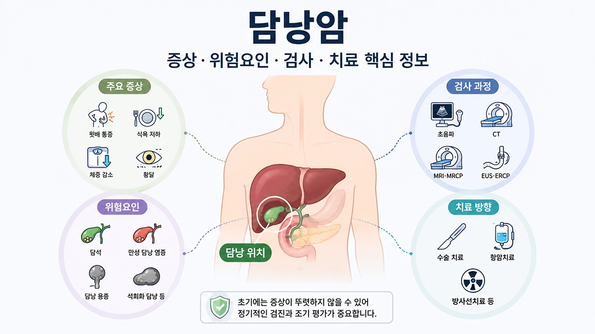 담낭암의 위치와 주요 증상, 검사 및 치료 방향을 보여주는 인포그래픽