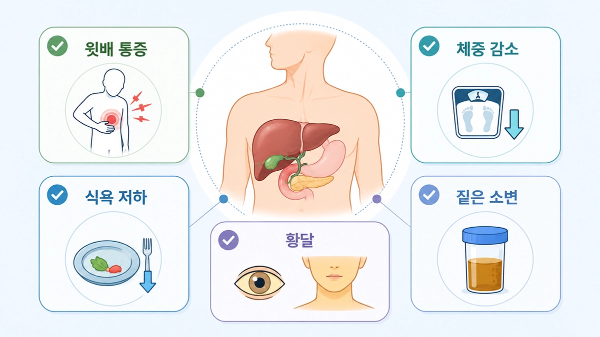 담낭암에서 나타날 수 있는 윗배 통증과 체중 감소, 황달 등의 증상 인포그래픽