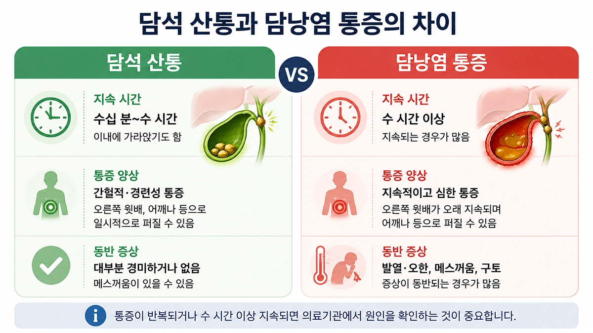 담낭염 통증과 담석 산통의 지속 시간 및 동반 증상을 비교한 인포그래픽