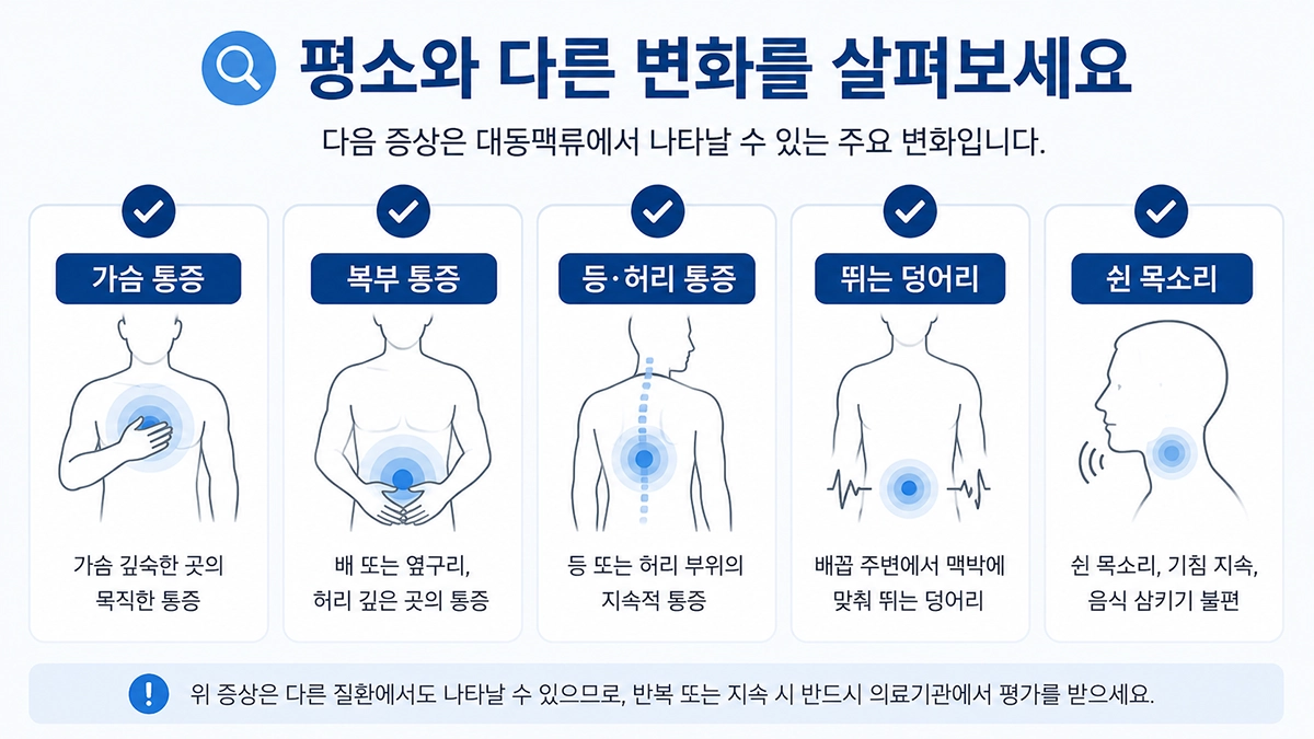 대동맥류에서 살펴볼 수 있는 가슴 통증과 복부 박동 등 주요 증상