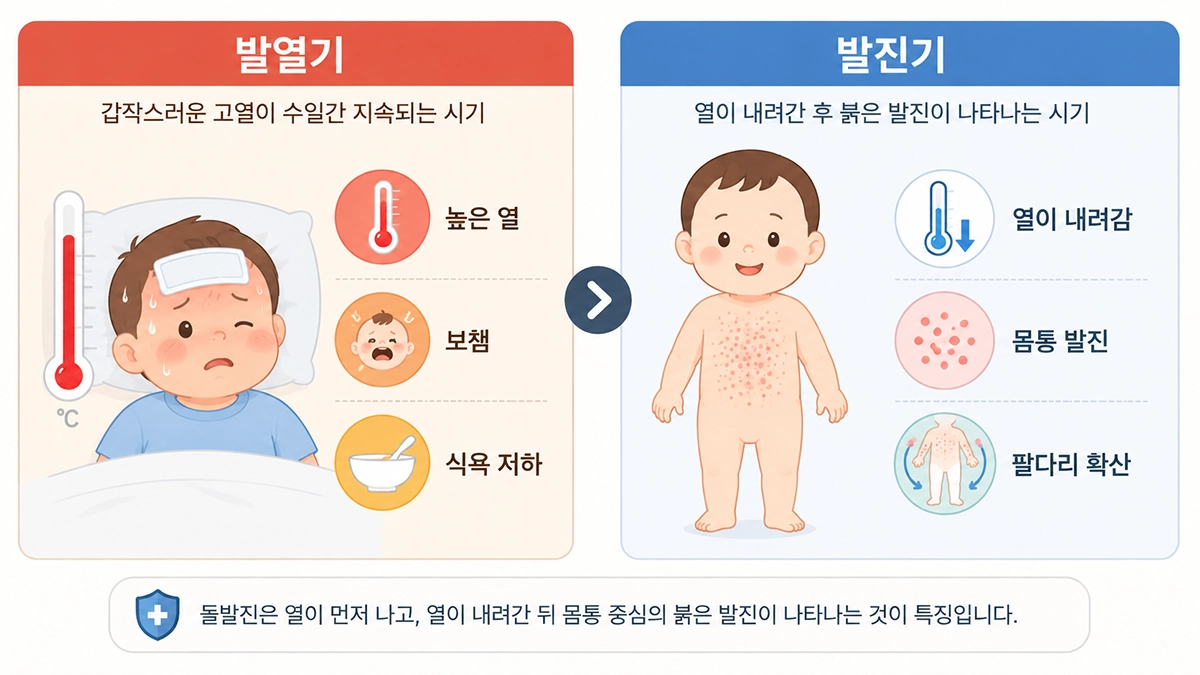 돌발진의 발열기와 발진기 증상 차이를 비교한 인포그래픽