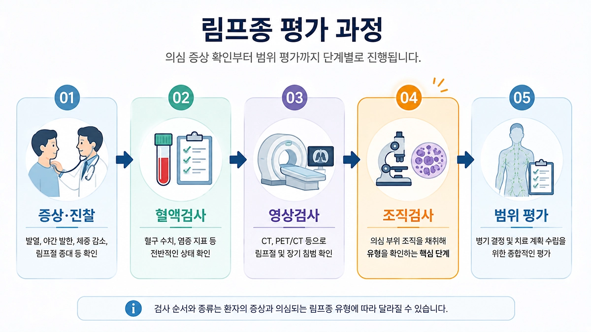 림프종 증상 확인 후 혈액검사와 영상검사, 조직검사로 이어질 수 있는 진단 과정을 설명한 인포그래픽