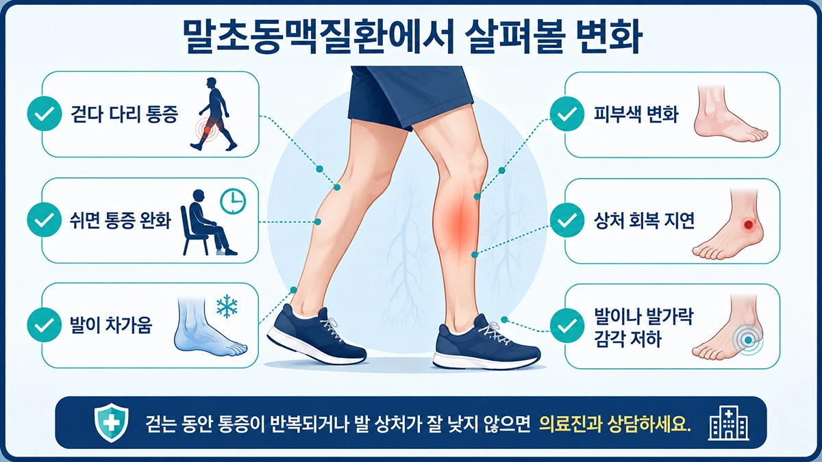 말초동맥질환에서 나타날 수 있는 보행 통증과 발 냉감, 피부색 변화, 상처를 정리한 체크리스트