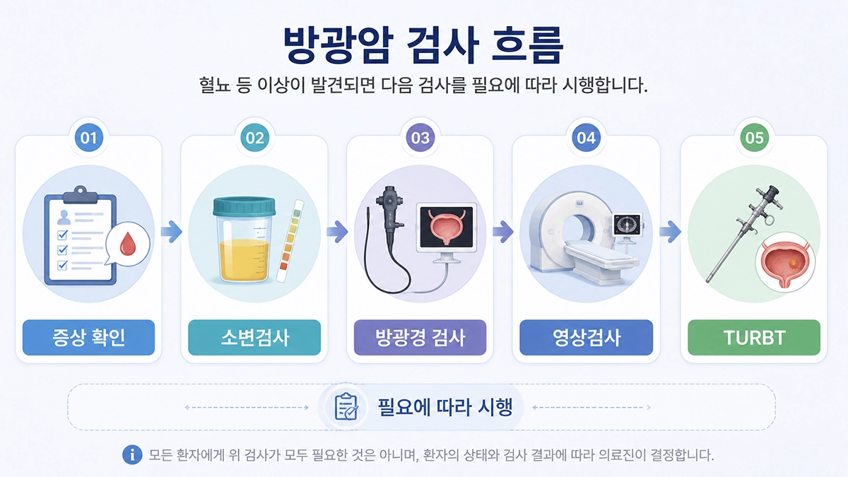 방광암 초기증상 이후 소변검사 방광경 검사 CT와 TURBT로 이어지는 검사 과정 인포그래픽
