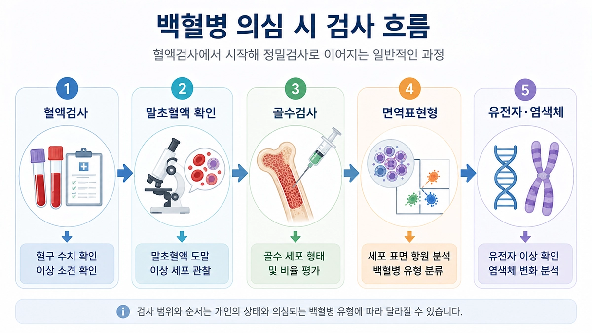백혈병 진단에서 혈액검사 골수검사 유전자검사로 이어지는 검사 과정