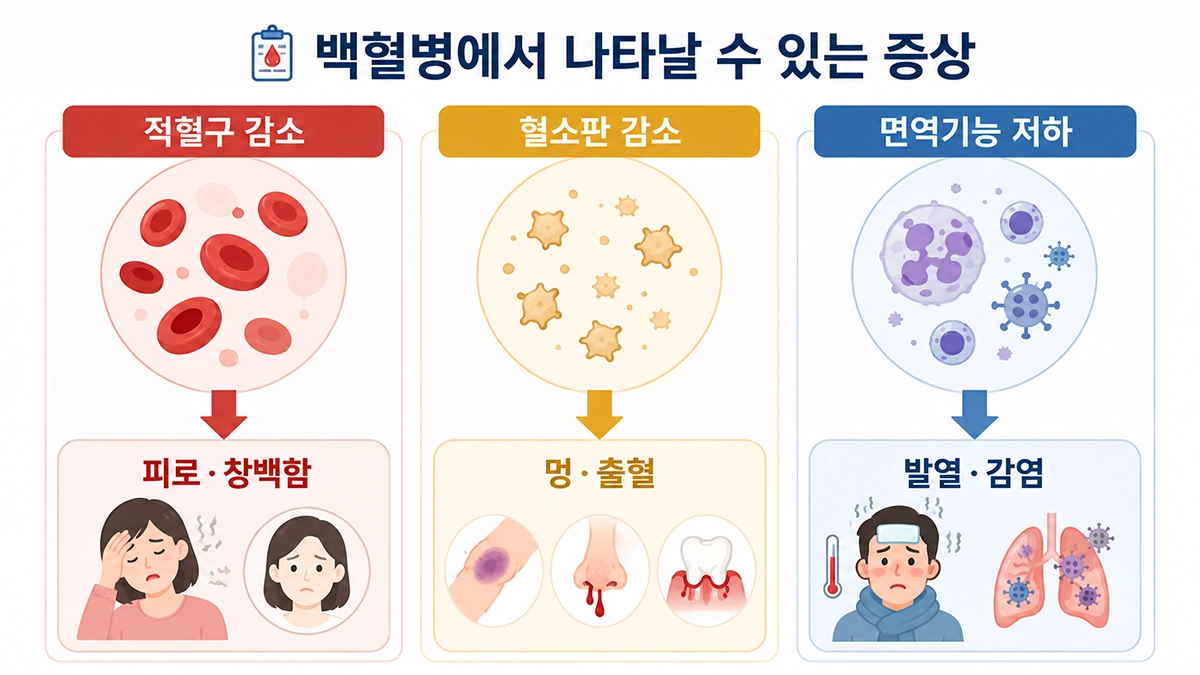 백혈병에서 적혈구 혈소판 백혈구 변화에 따라 나타날 수 있는 증상 비교
