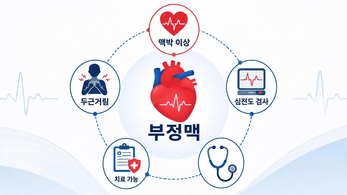 부정맥의 주요 증상과 검사 및 치료 방향을 요약한 인포그래픽